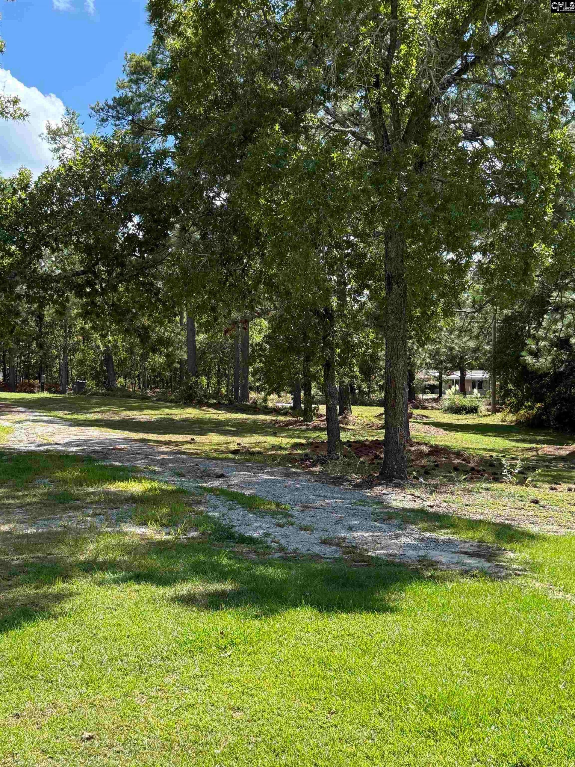 180 Crystal Springs Road  Photo 4