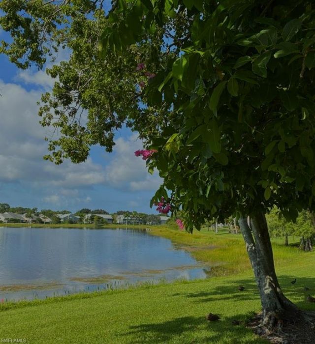 1708 Kings Lake Blvd, Unit 204, Naples, FL 34112 Photo