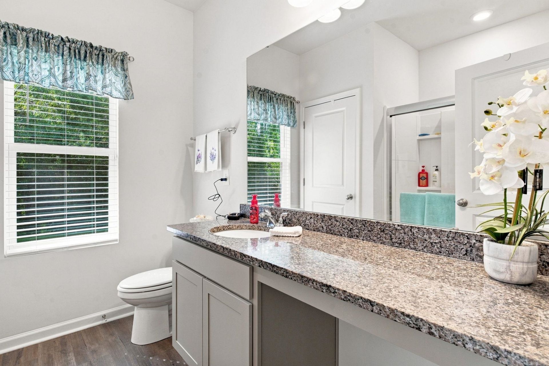 442 Stevia Ct.  Photo 23