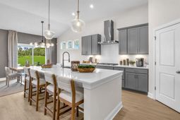 229 River Birch Dr. photo 4