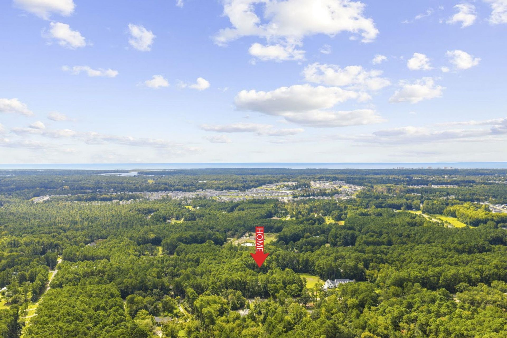 3811 Loblolly Ave. Photo 39