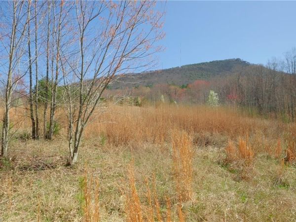 7 Old Mill Road , Pinnacle, NC 27043