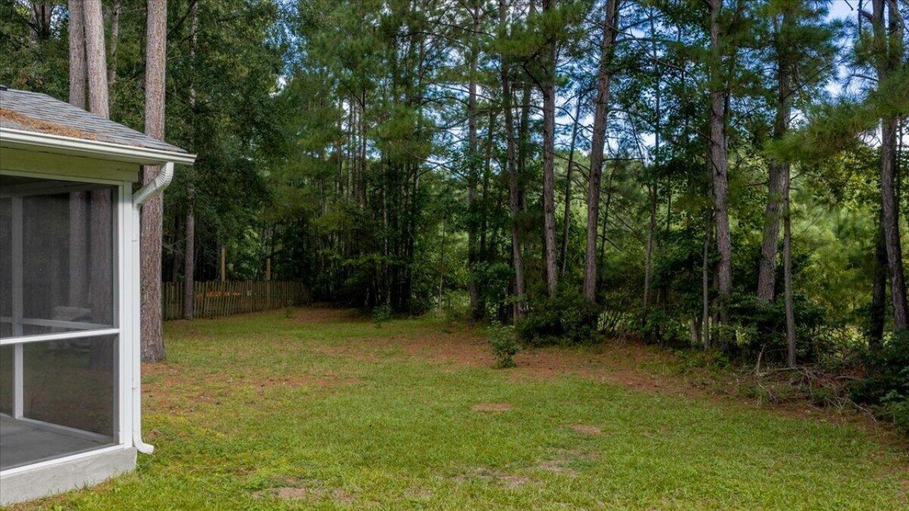 104 Basler Street Photo 43