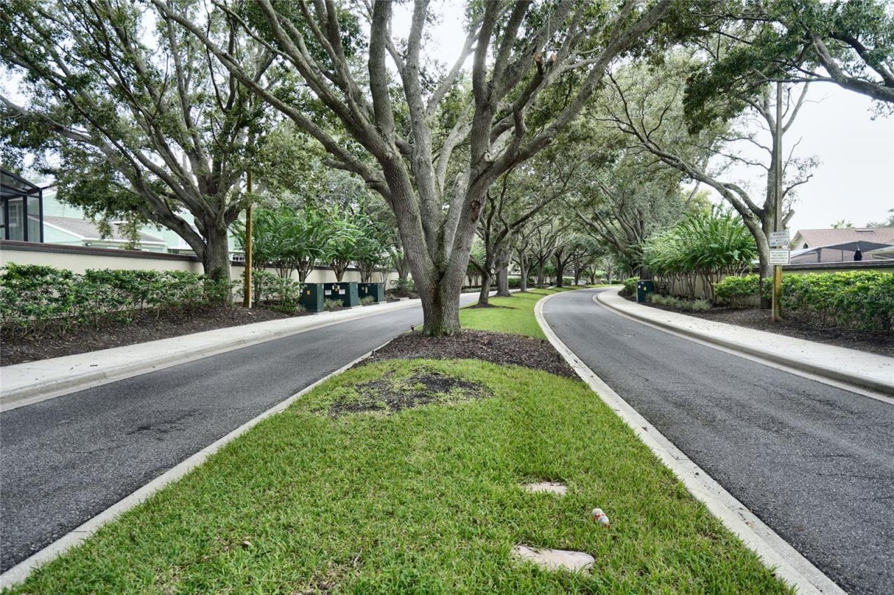 7730 Bardmoor Hill Cir, Orlando, FL 32835 Photo