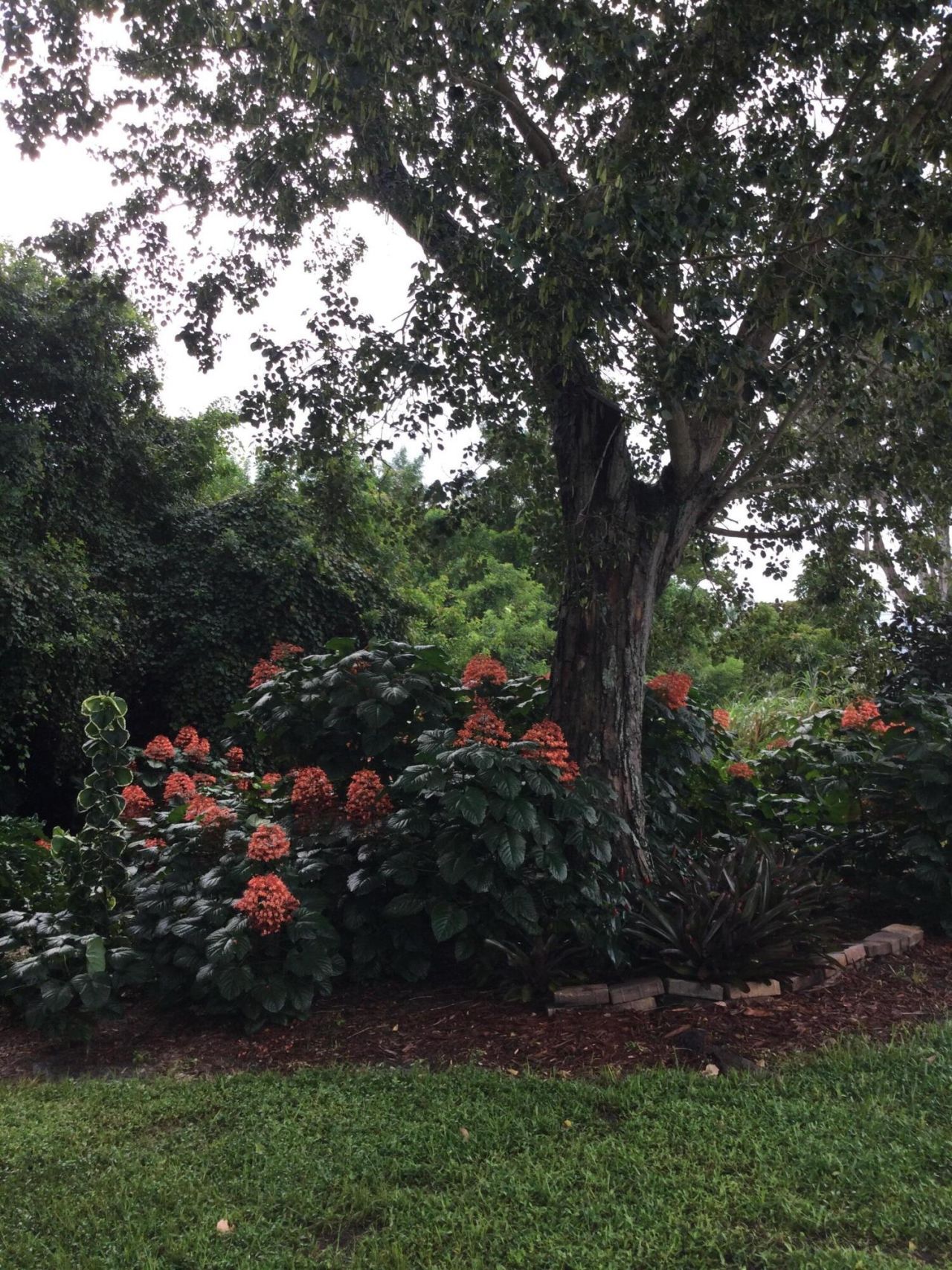 8 Santa Fe Lane, Port Saint Lucie, FL 34952 Photo