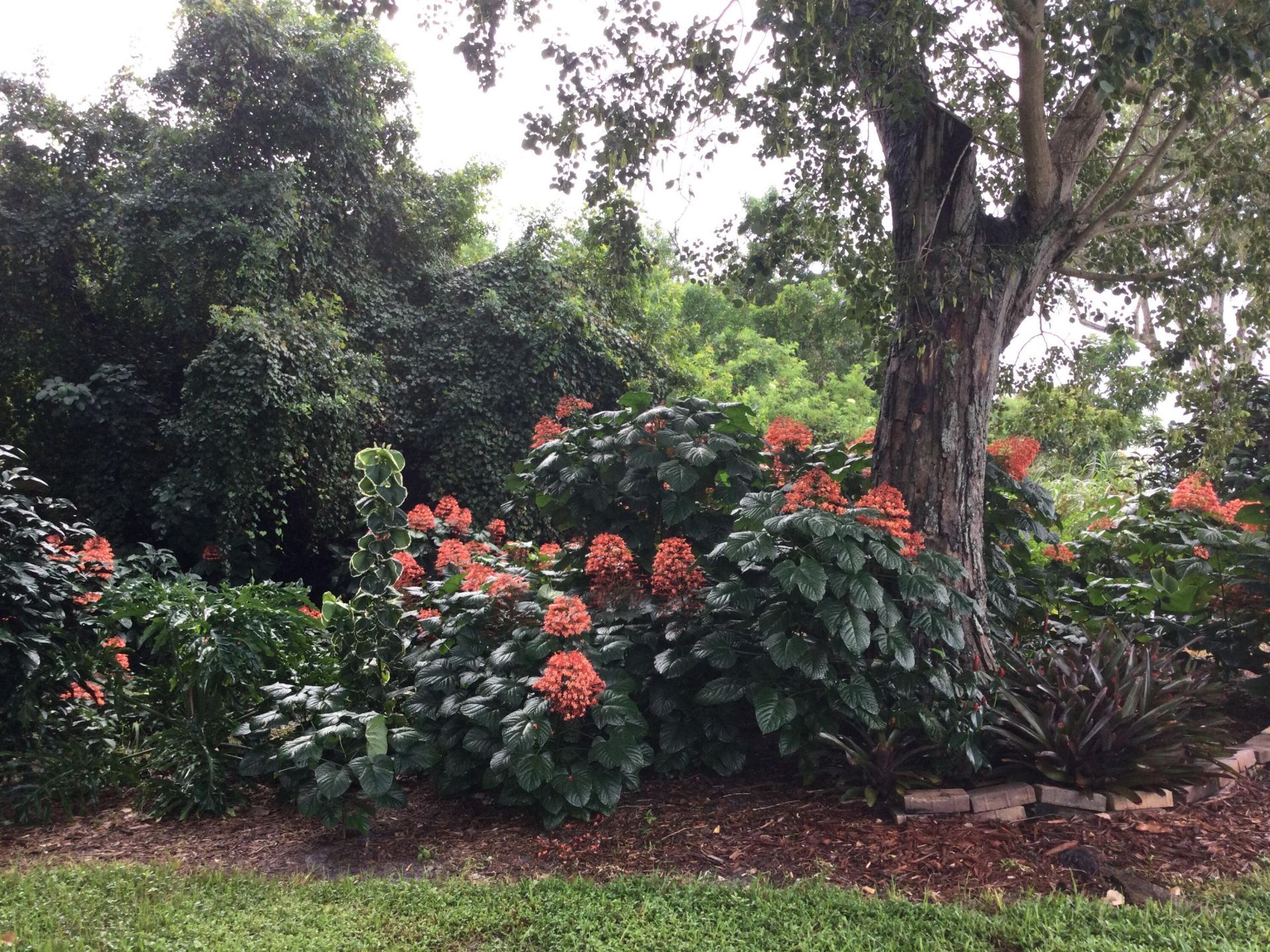 8 Santa Fe Lane, Port Saint Lucie, FL 34952 Photo