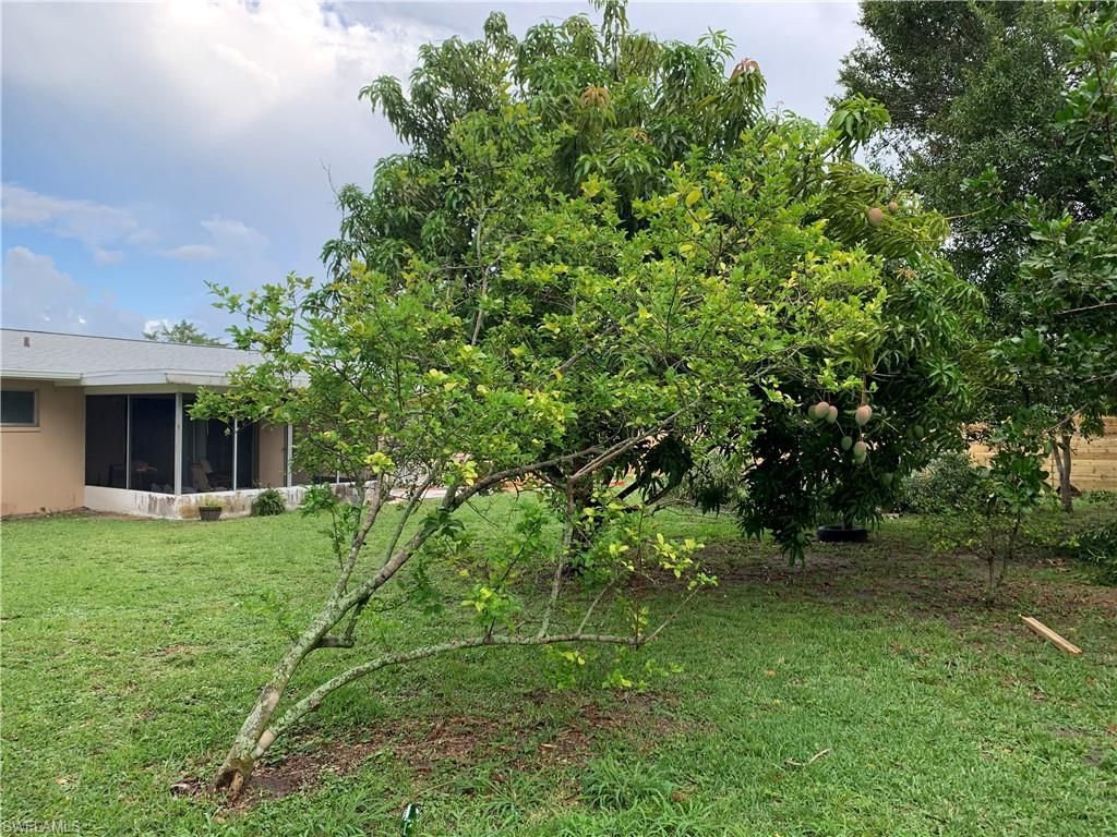 901 Juno Dr, Lehigh Acres, FL 33936 Photo