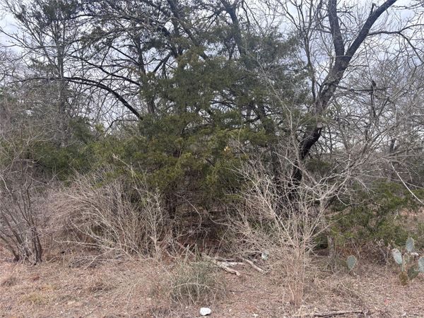 TBD Pearson RD , Cedar Creek, TX 78616