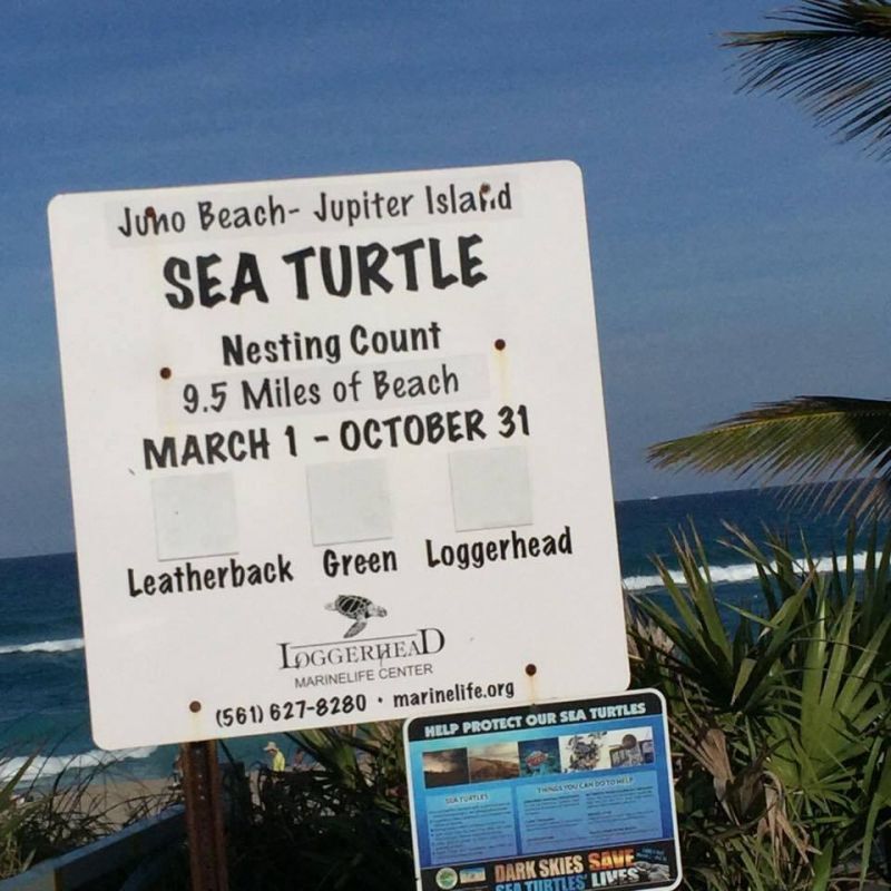 300 Ocean Trail Way, Unit 1105, Jupiter, FL 33477 Photo