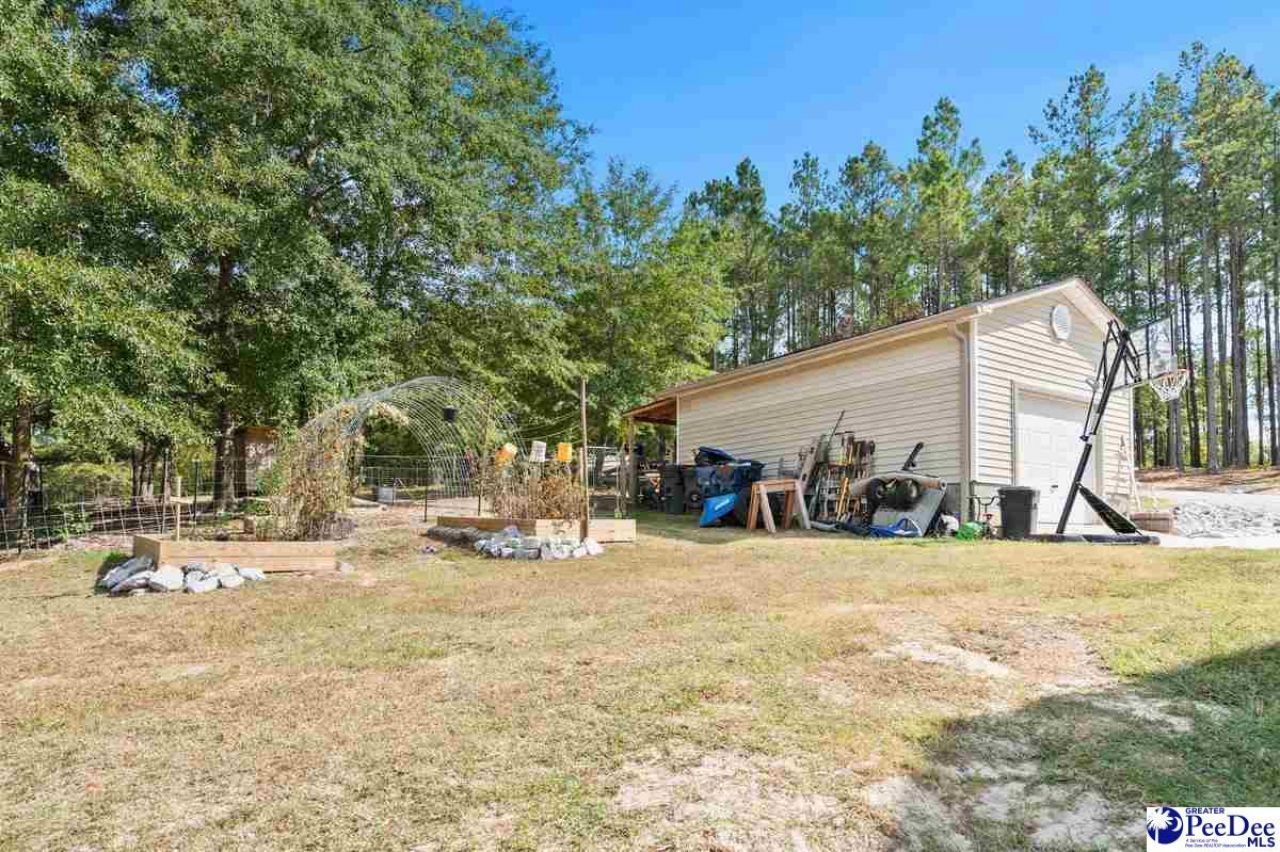 361 Pine Rd Photo 36