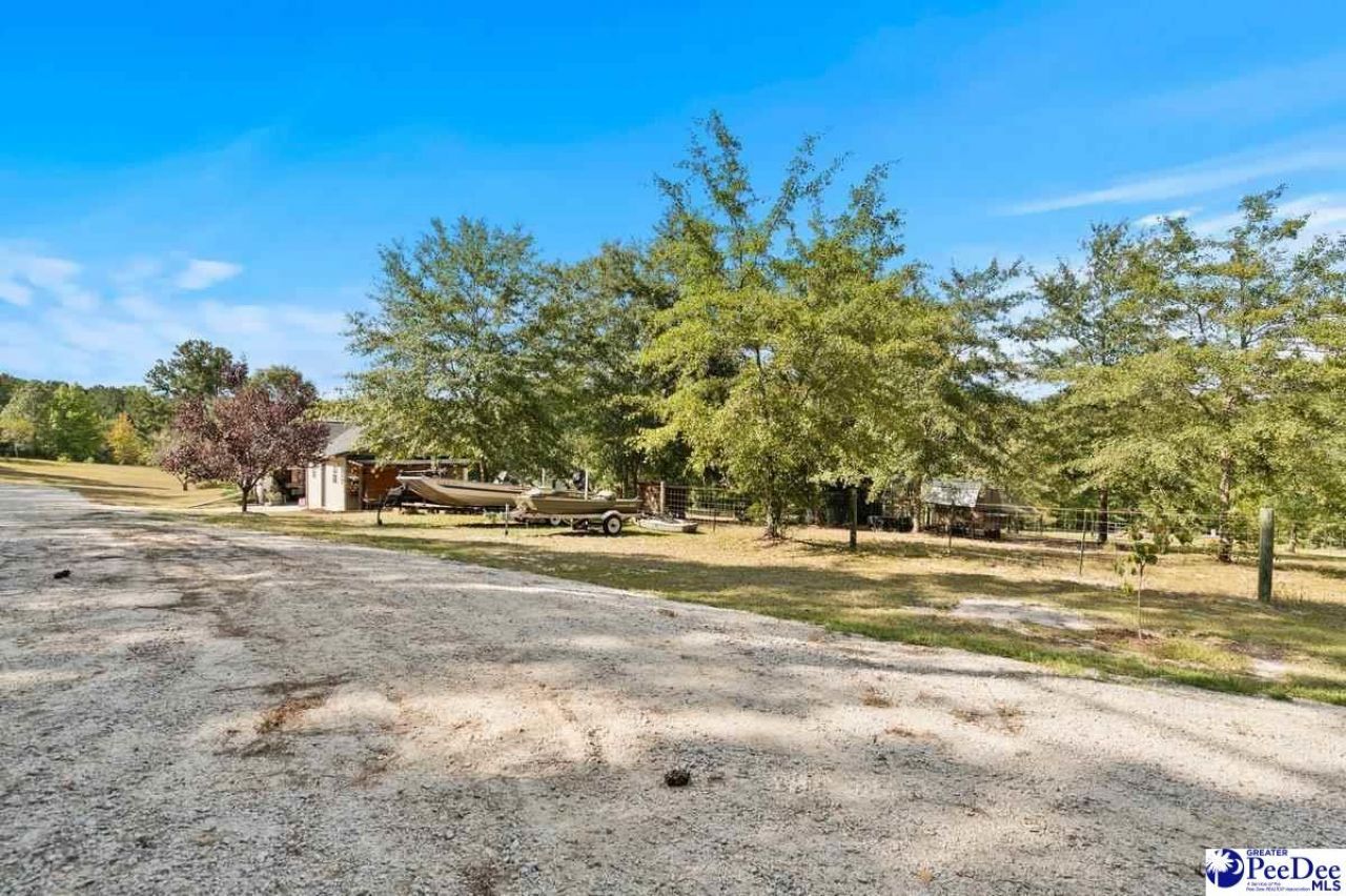 361 Pine Rd Photo 38