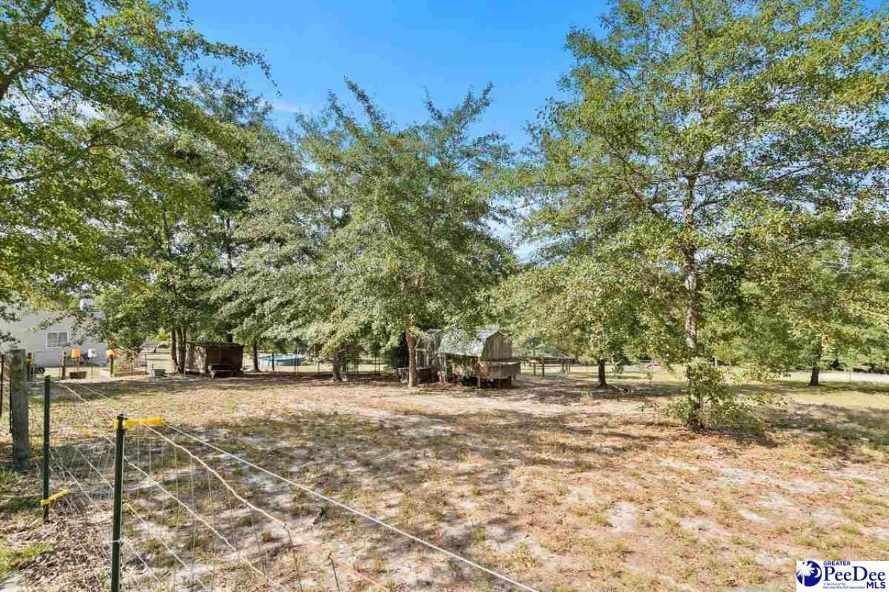 361 Pine Rd Photo 39