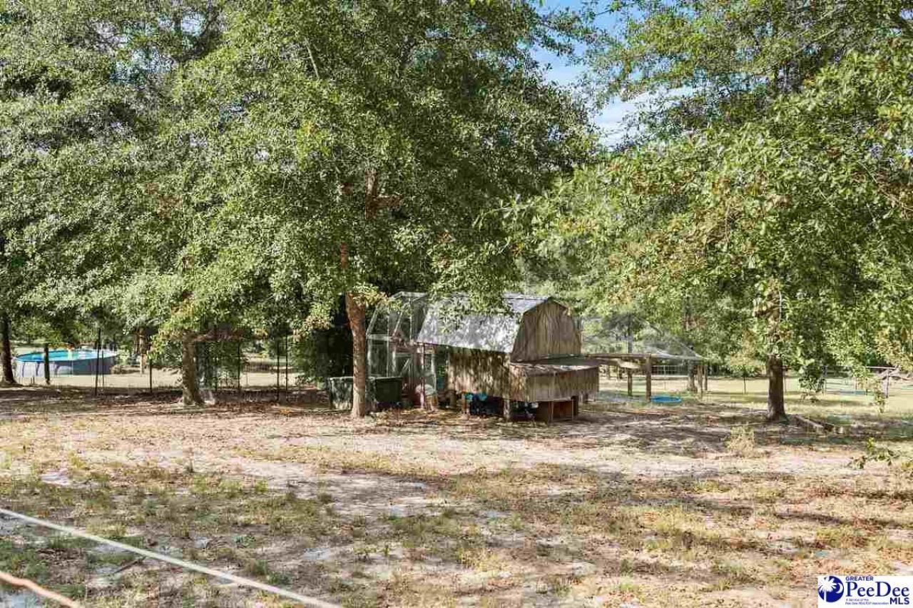 361 Pine Rd Photo 40