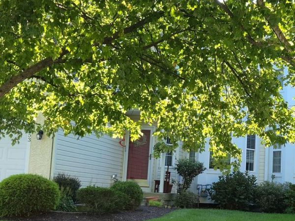 253 AVONWOOD ROAD , KENNETT SQUARE, PA 19348