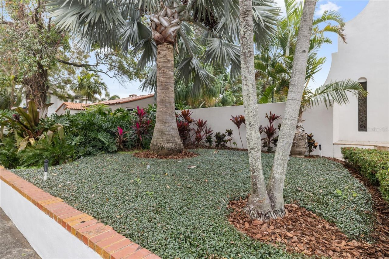 220 14th Avenue N, Saint Petersburg, FL 33701 Photo