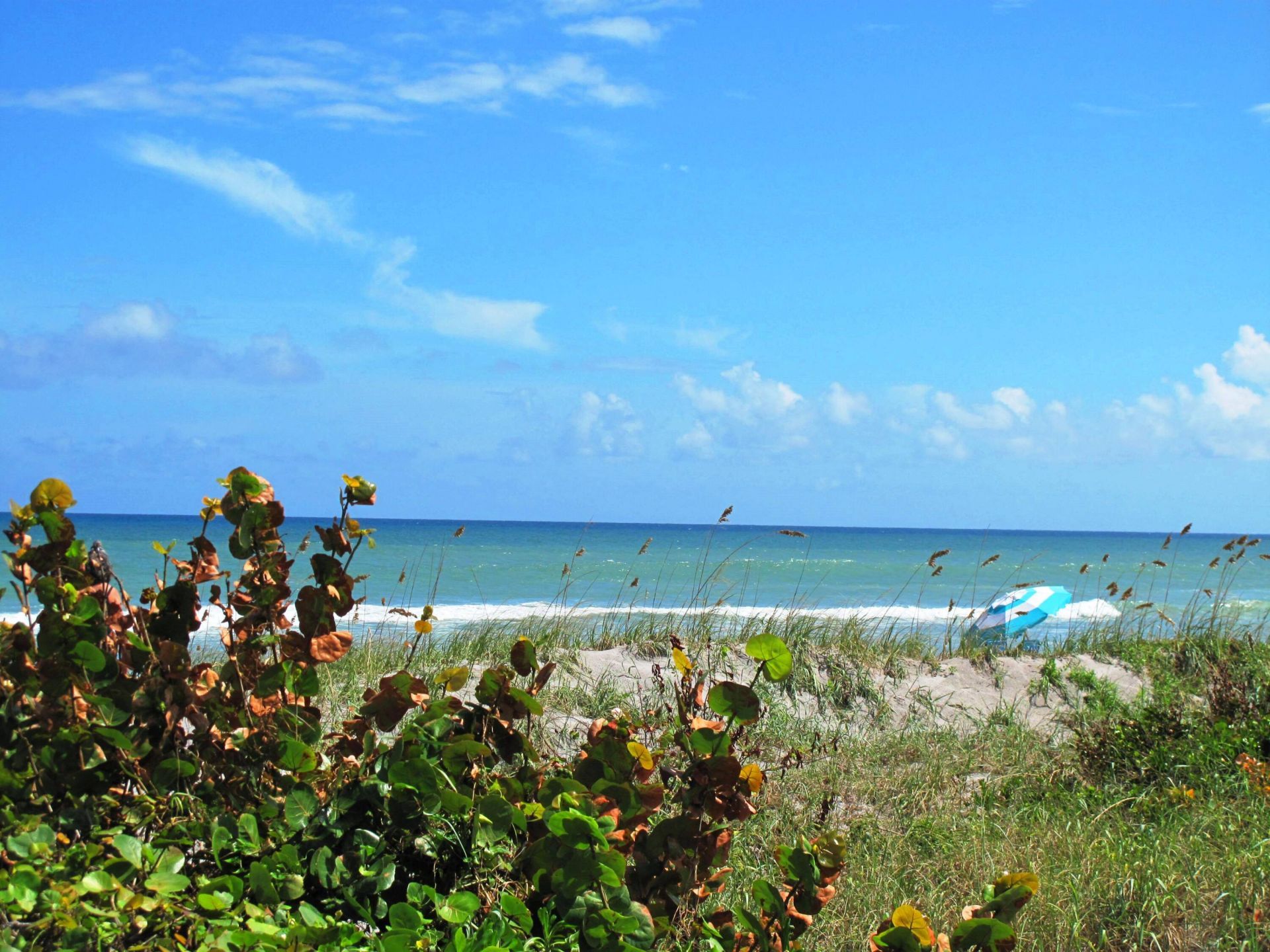 184 Tuscany C, Delray Beach, FL 33446 Photo