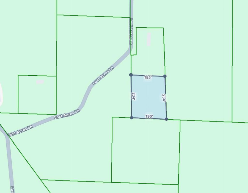 306 Lost Acres Lane Photo 4