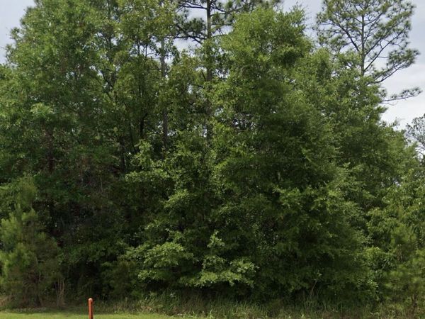 9494 Hackberry Court, Daphne, AL 36527