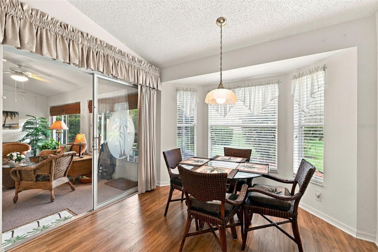 1202 Wolford Drive, Trinity, FL 34655 Photo