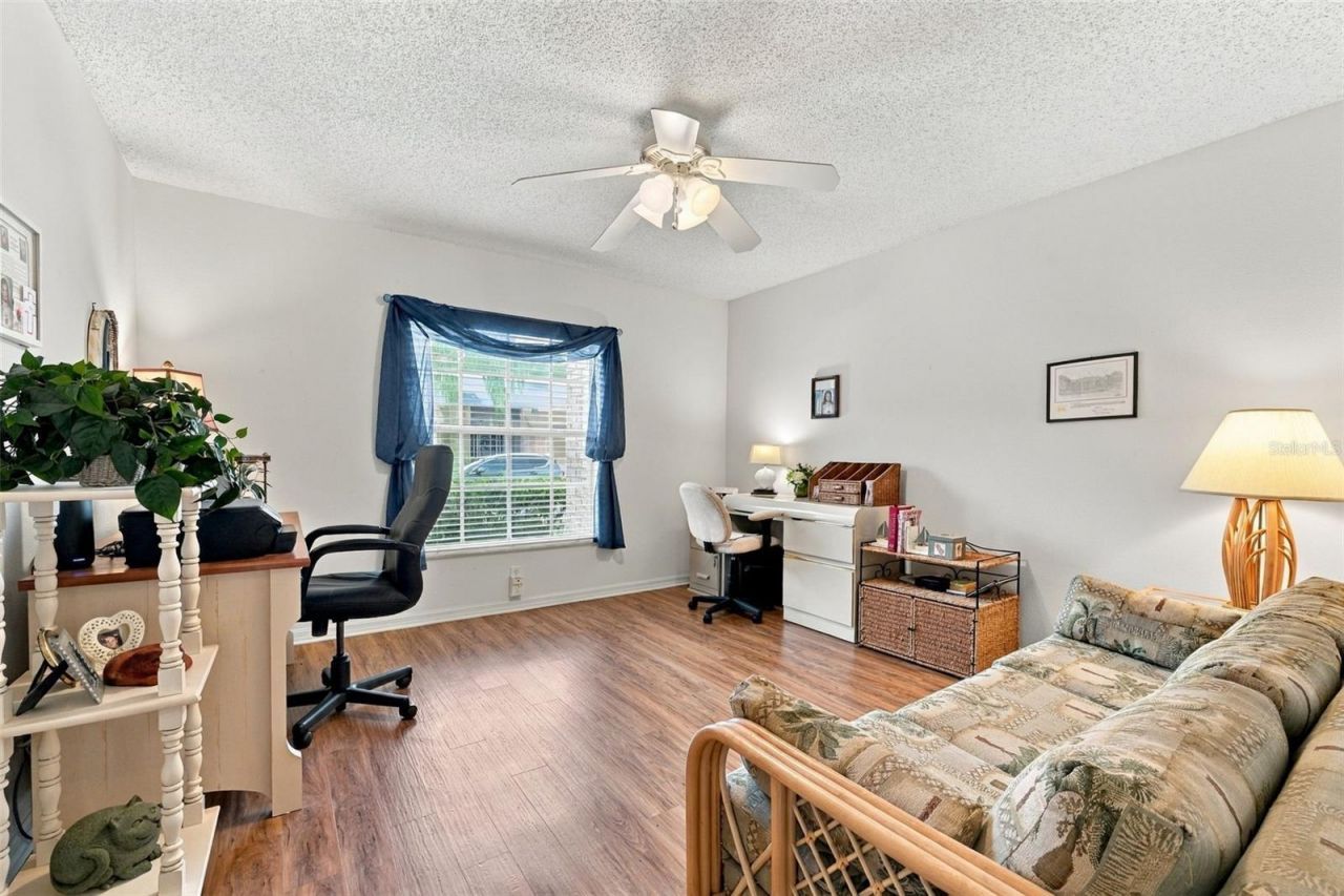 1202 Wolford Drive, Trinity, FL 34655 Photo