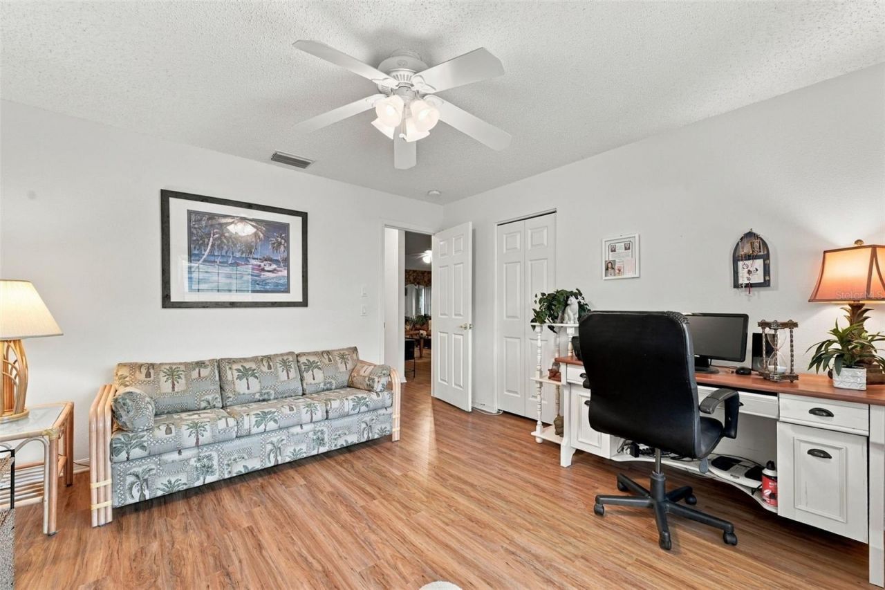 1202 Wolford Drive, Trinity, FL 34655 Photo