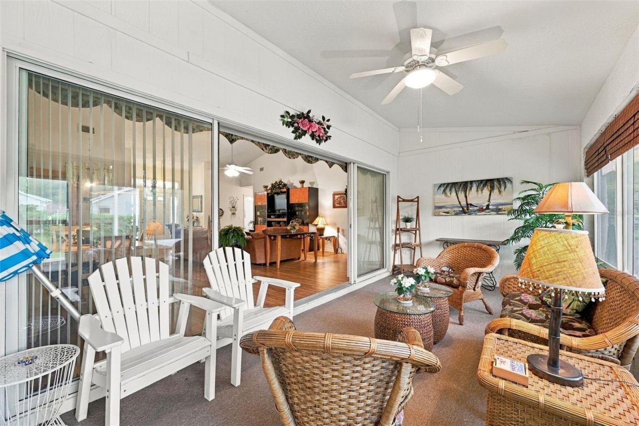 1202 Wolford Drive, Trinity, FL 34655 Photo
