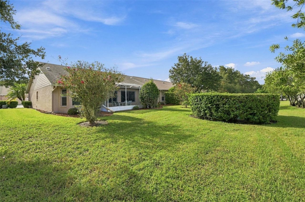 1202 Wolford Drive, Trinity, FL 34655 Photo