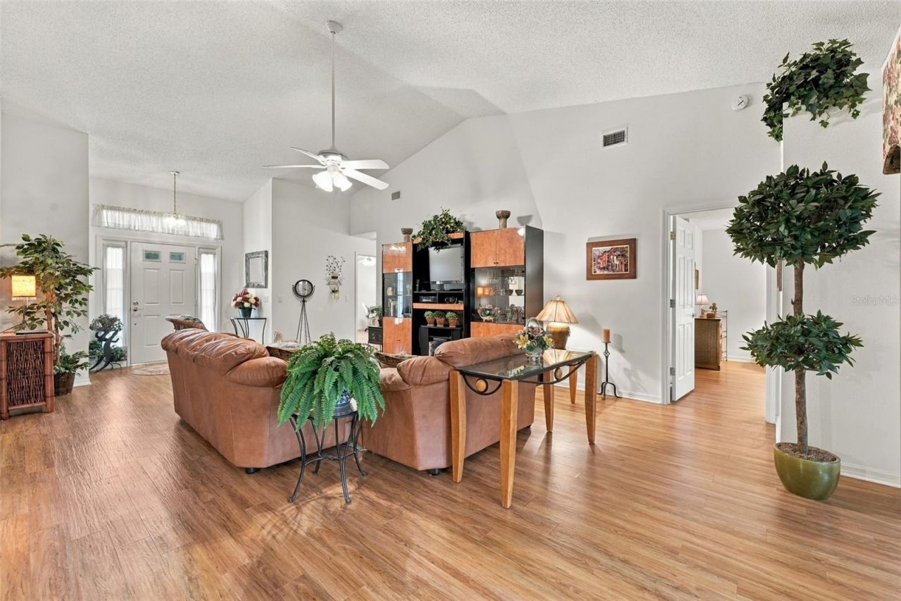1202 Wolford Drive, Trinity, FL 34655 Photo