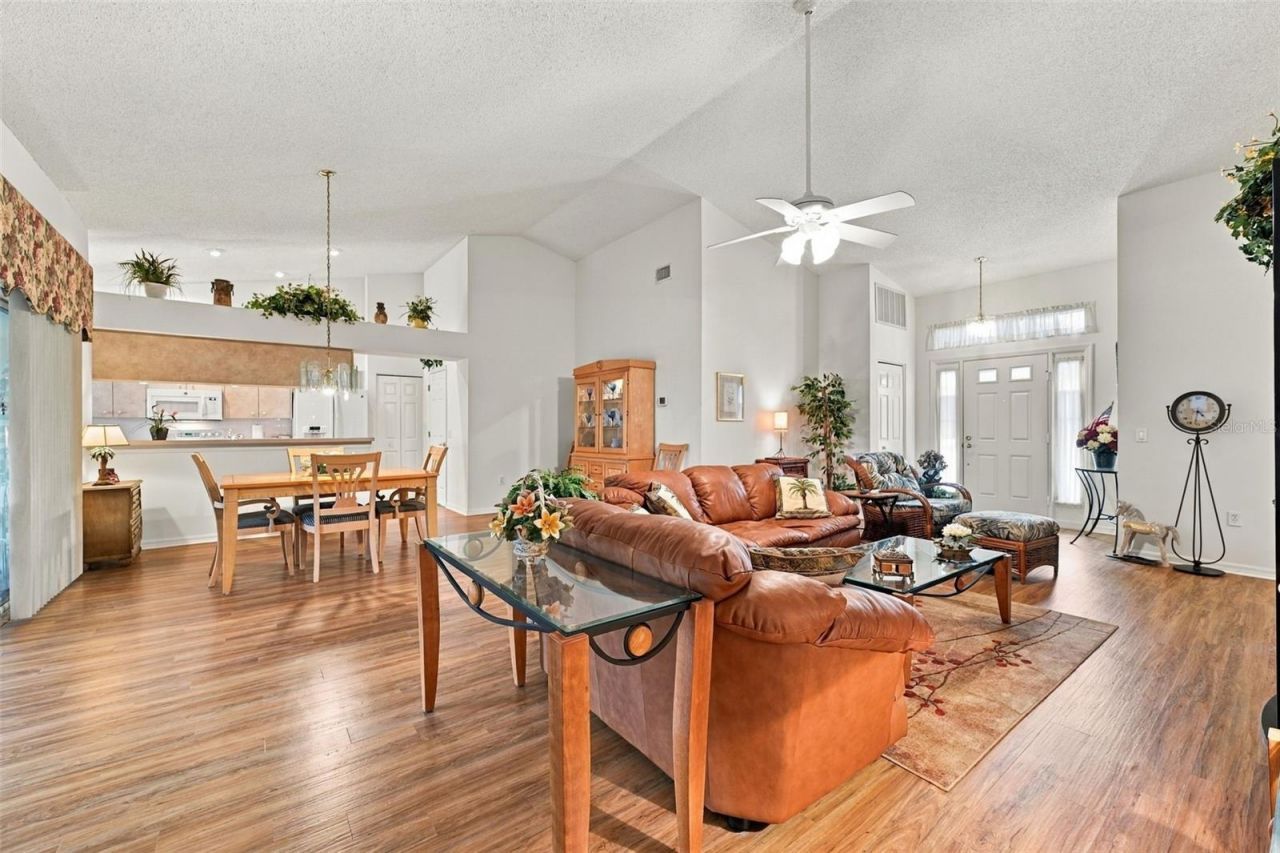 1202 Wolford Drive, Trinity, FL 34655 Photo