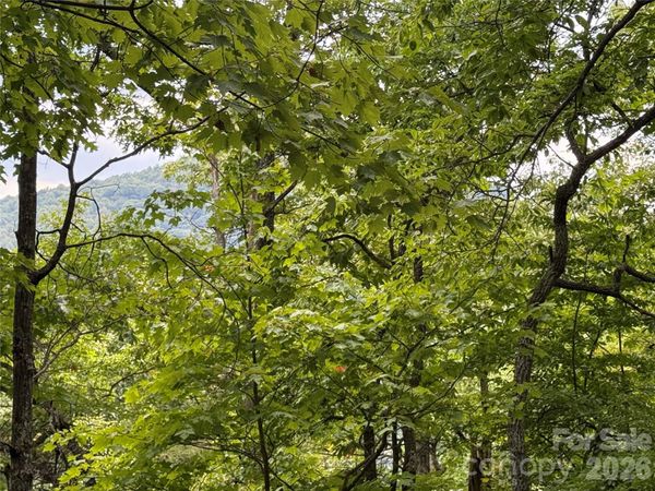 3315 Preserve Road, Sylva, NC 28779