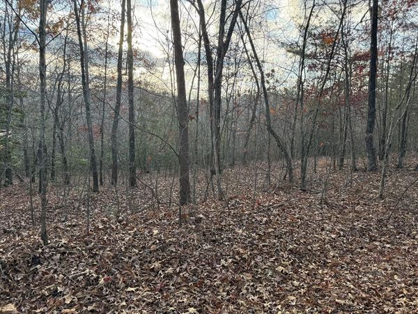 28/32 Stuart Ridge Road, Mineral Bluff, GA 30559