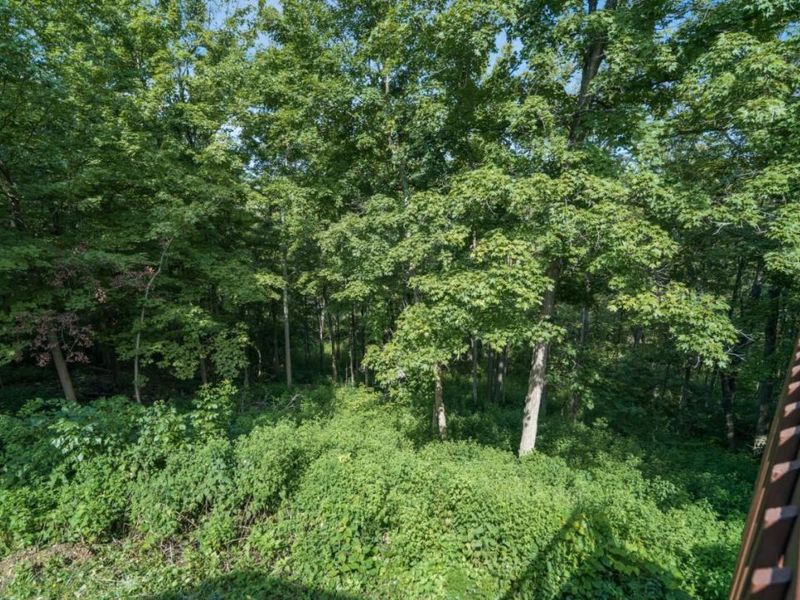 413 Tarkington Lane, Miami Township, OH 45140 Photo 53