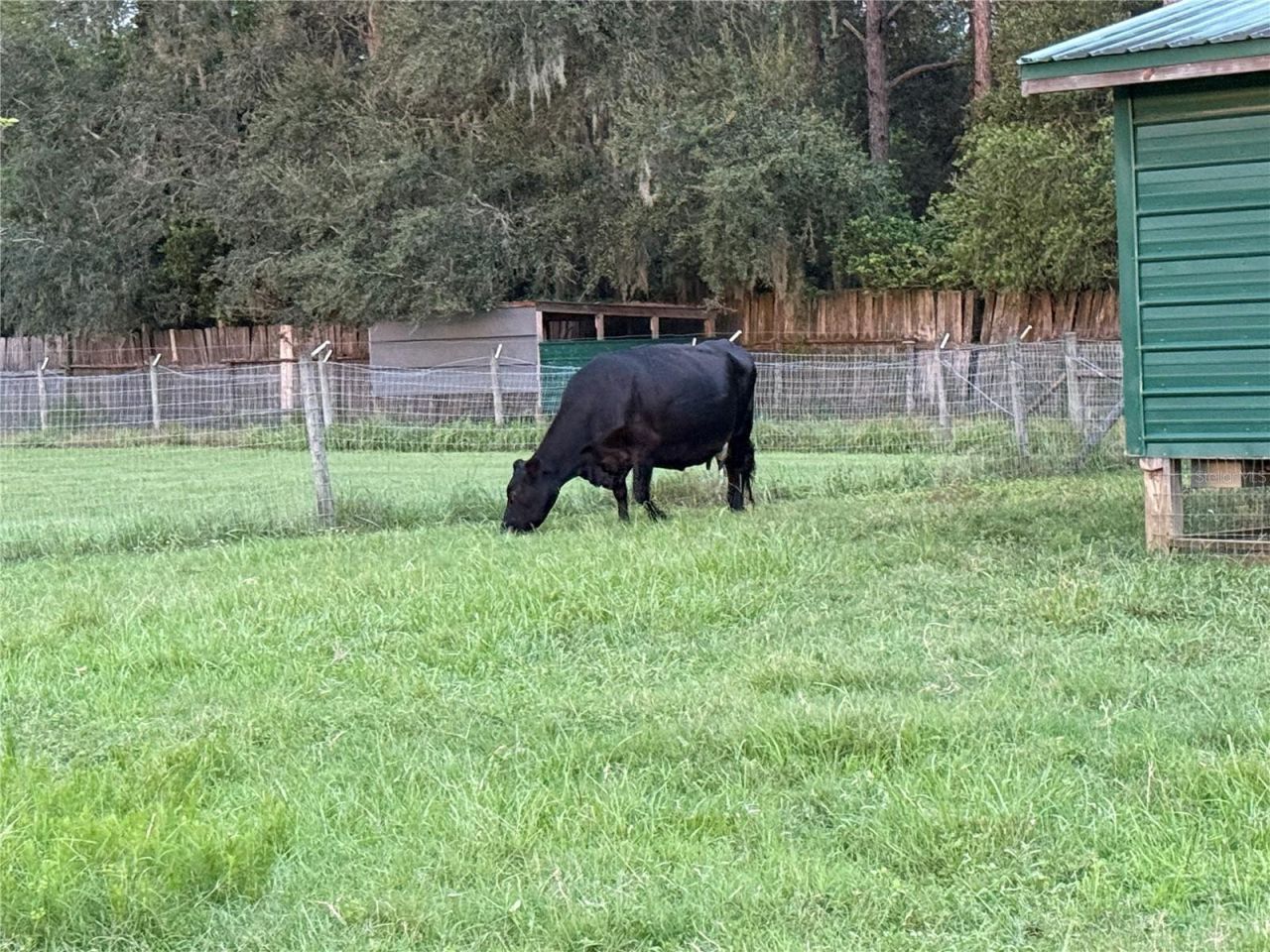 28046 Bayhead Road, Dade City, FL 33523 Photo