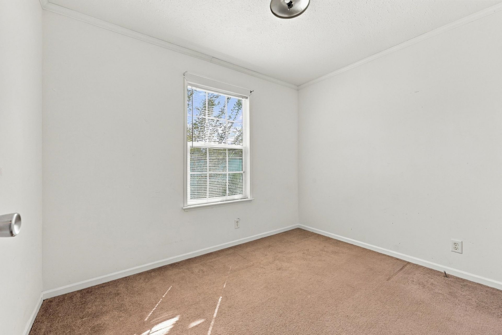 4975 Murray Johnson Rd. Photo 18