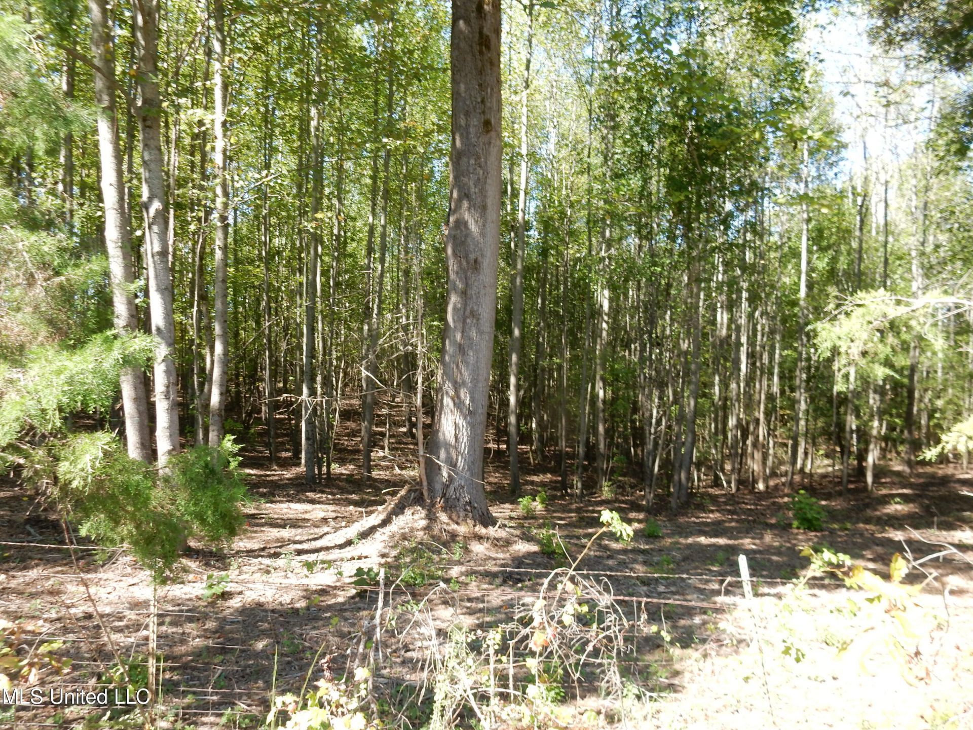 Lot 1 Cypress Corner Road, Senatobia, MS 38668 Main Photo