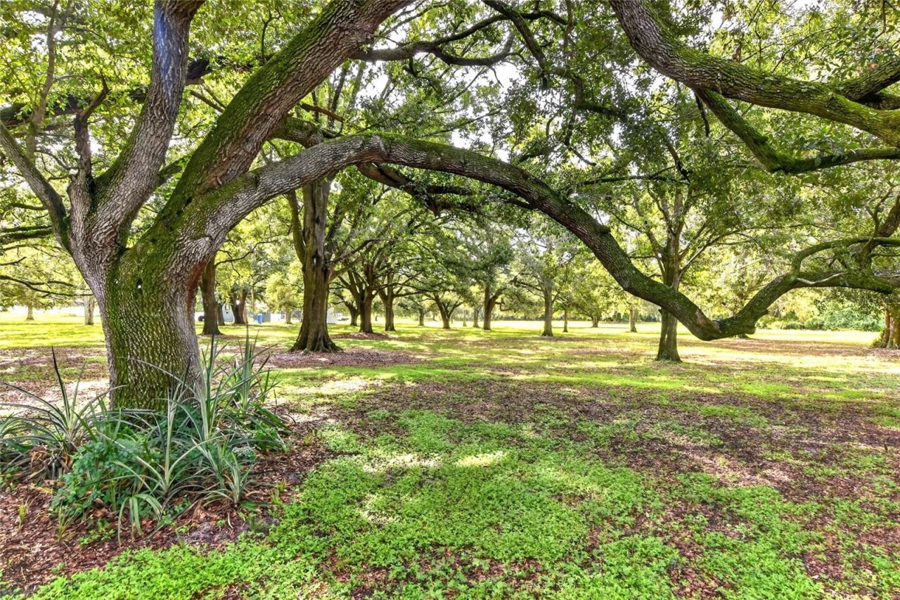 4401 Chambliss Road, Winter Haven, FL 33884 Photo