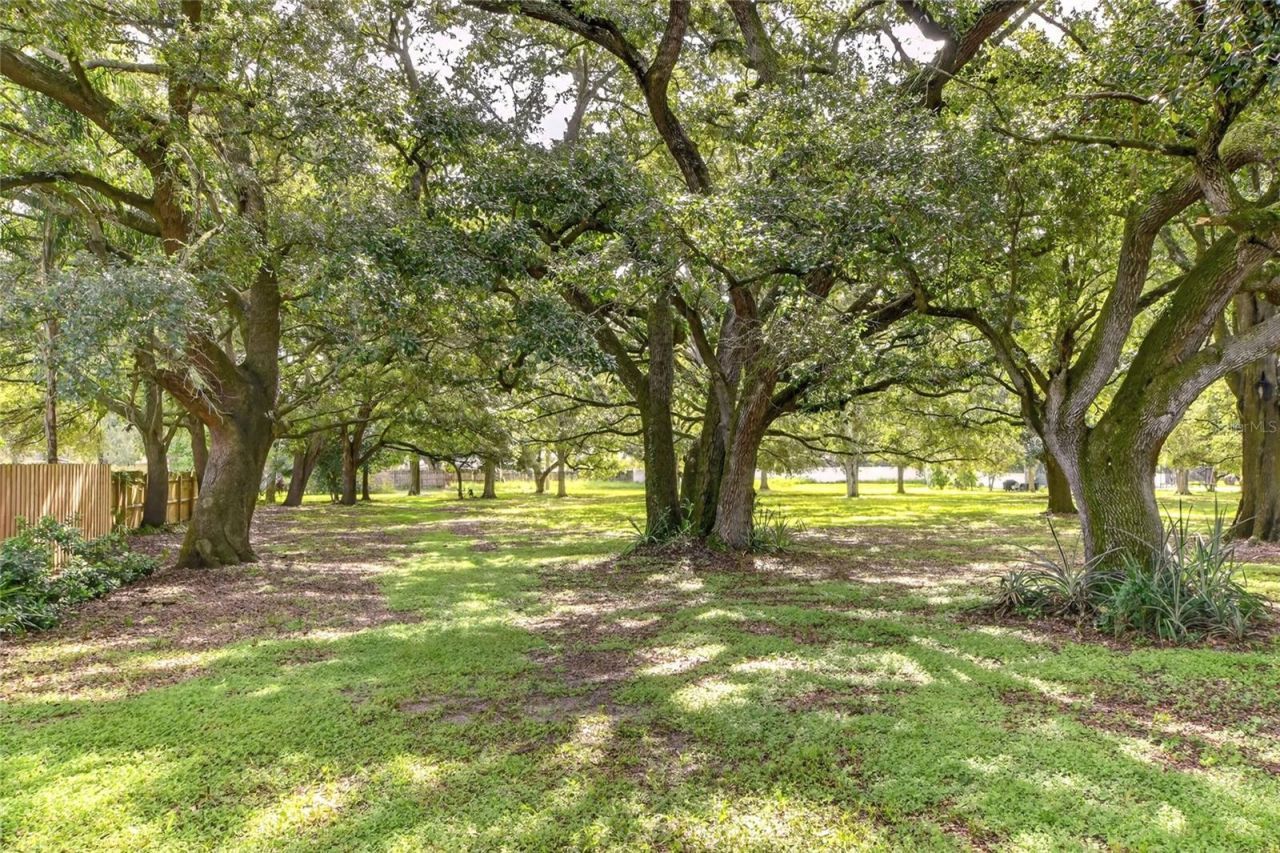 4401 Chambliss Road, Winter Haven, FL 33884 Photo