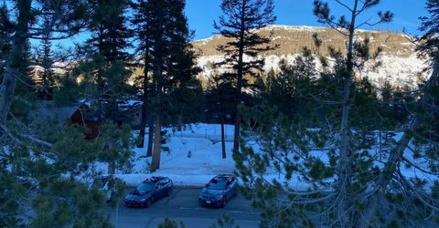 33981 Fremont Road, Kirkwood, CA 95646 Photo