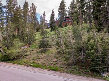 33981 Fremont Road, Kirkwood, CA 95646 Photo