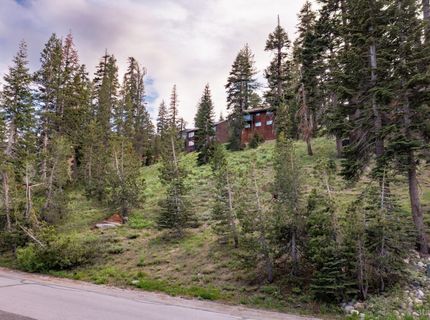 33981 Fremont Road, Kirkwood, CA 95646 Photo
