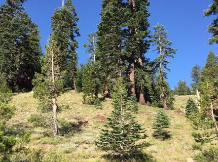33981 Fremont Road, Kirkwood, CA 95646 Photo