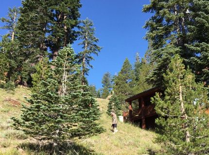 33981 Fremont Road, Kirkwood, CA 95646 Photo