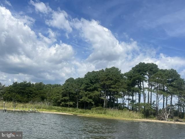 Corn Hammock Island, Bishopville, MD 21813 Main Photo