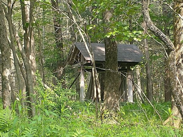Old Loomis Road , Liberty, NY 12734