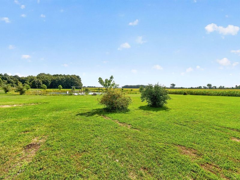 31250 Osborne Road, Richwood, OH 43344 Photo 51