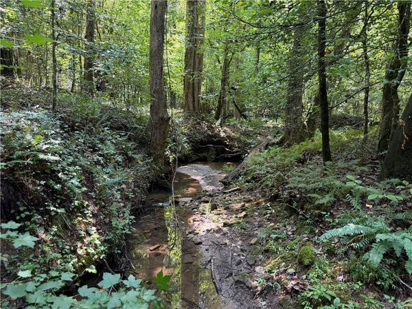0 Alpine Drive , Sautee Nacoochee, GA 30571