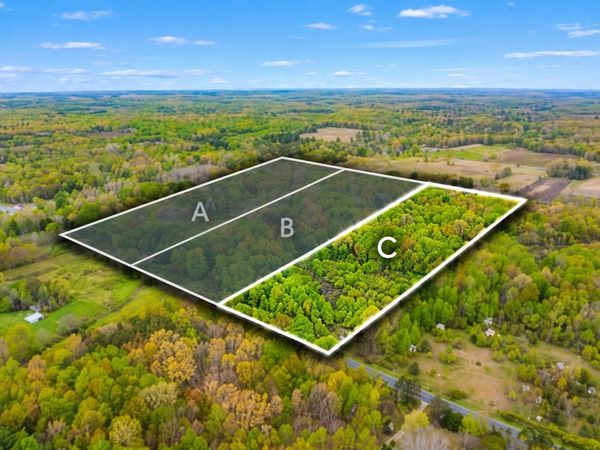 V/L-C 102nd Avenue, Grand Junction, MI 49056