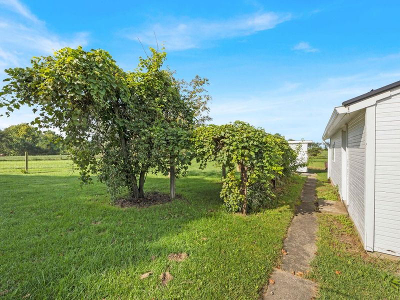 697 Township Road 31, Bellefontaine, OH 43311 Photo 10