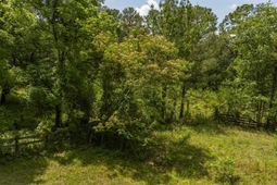 242 Sugar Loaf Road  photo 4