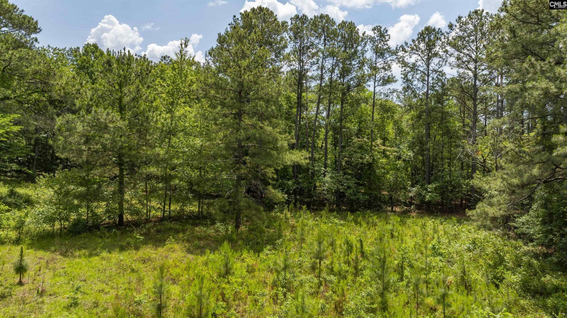 242 Sugar Loaf Road  Photo 5